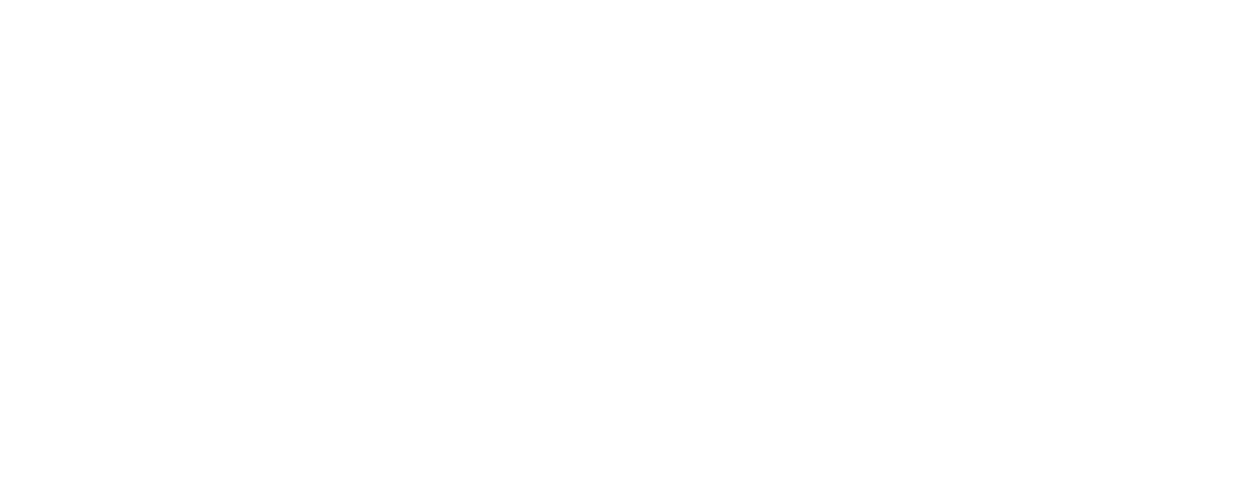FRINÉ SHOP logo